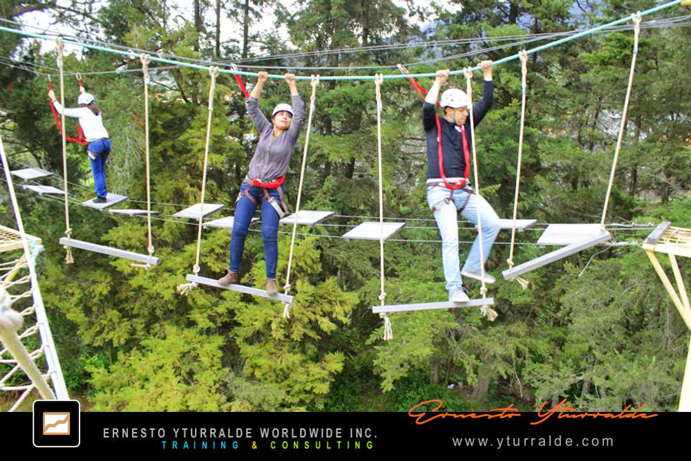 Talleres de Cuerdas Altas